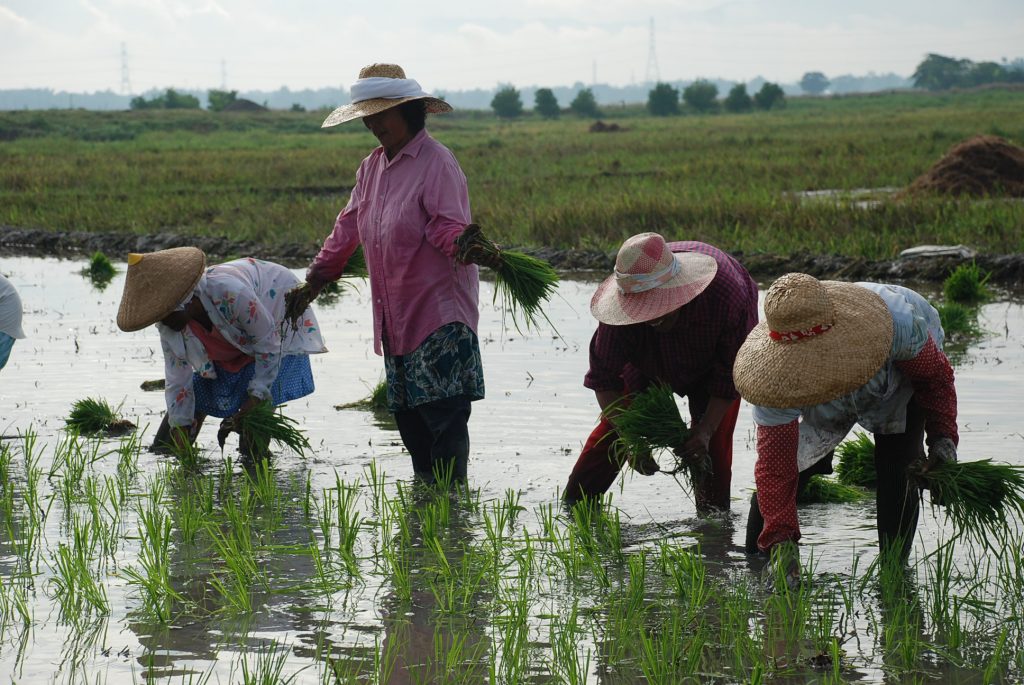 President Duterte Ensures Full Support To Filipino Farmers | Official ...