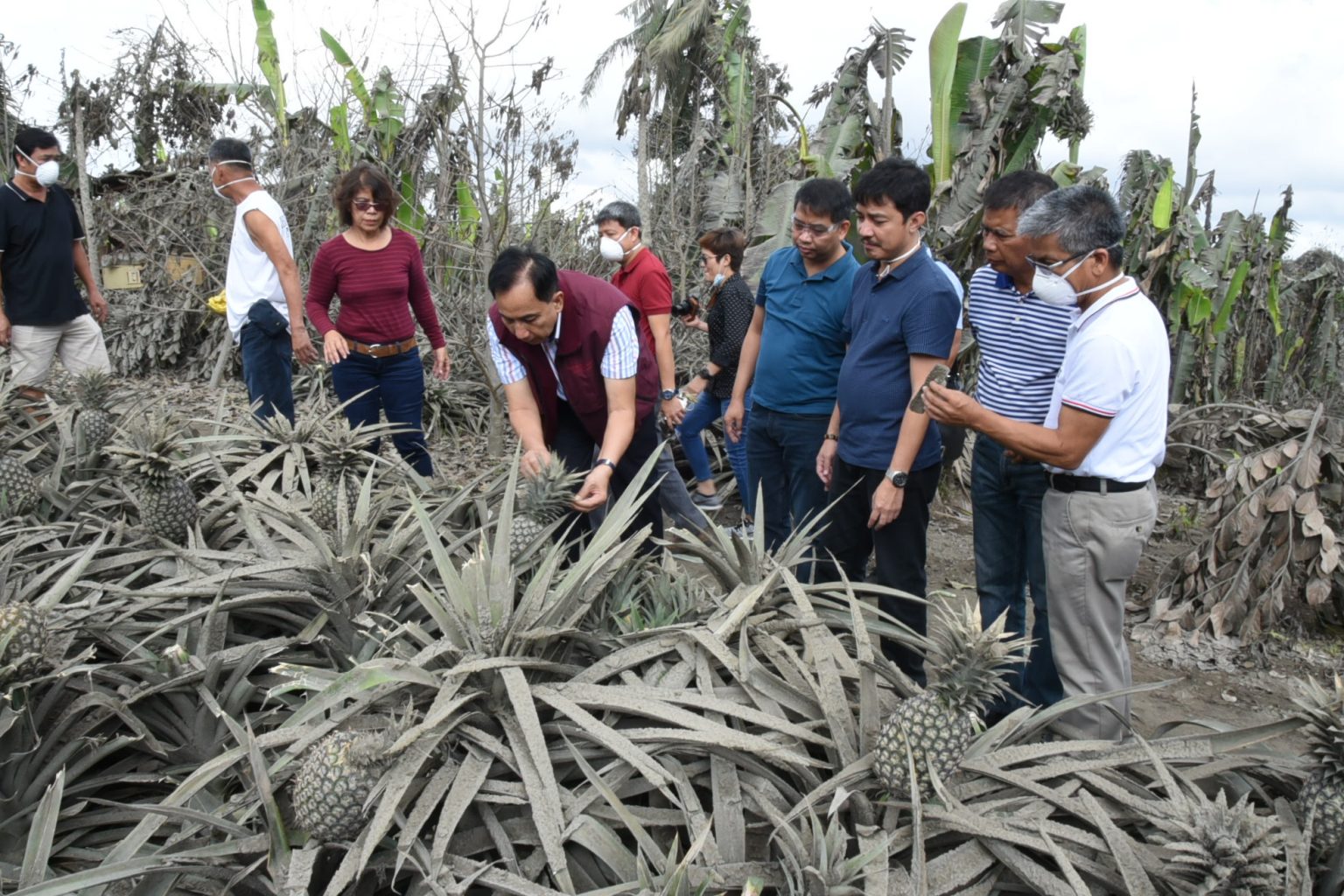 DA chief leads recovery efforts in Batangas, Cavite agriculture ...