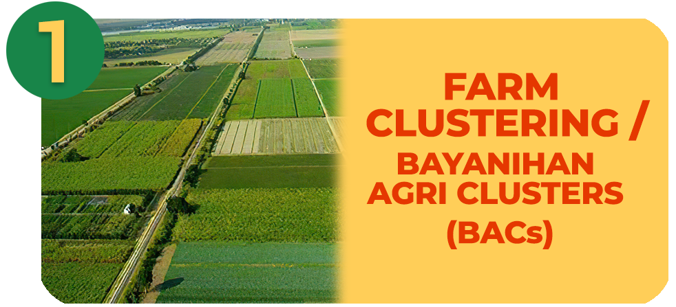 Farm Clustering Strategy (Bayanihan Agri Clusters: BACs) | Official ...