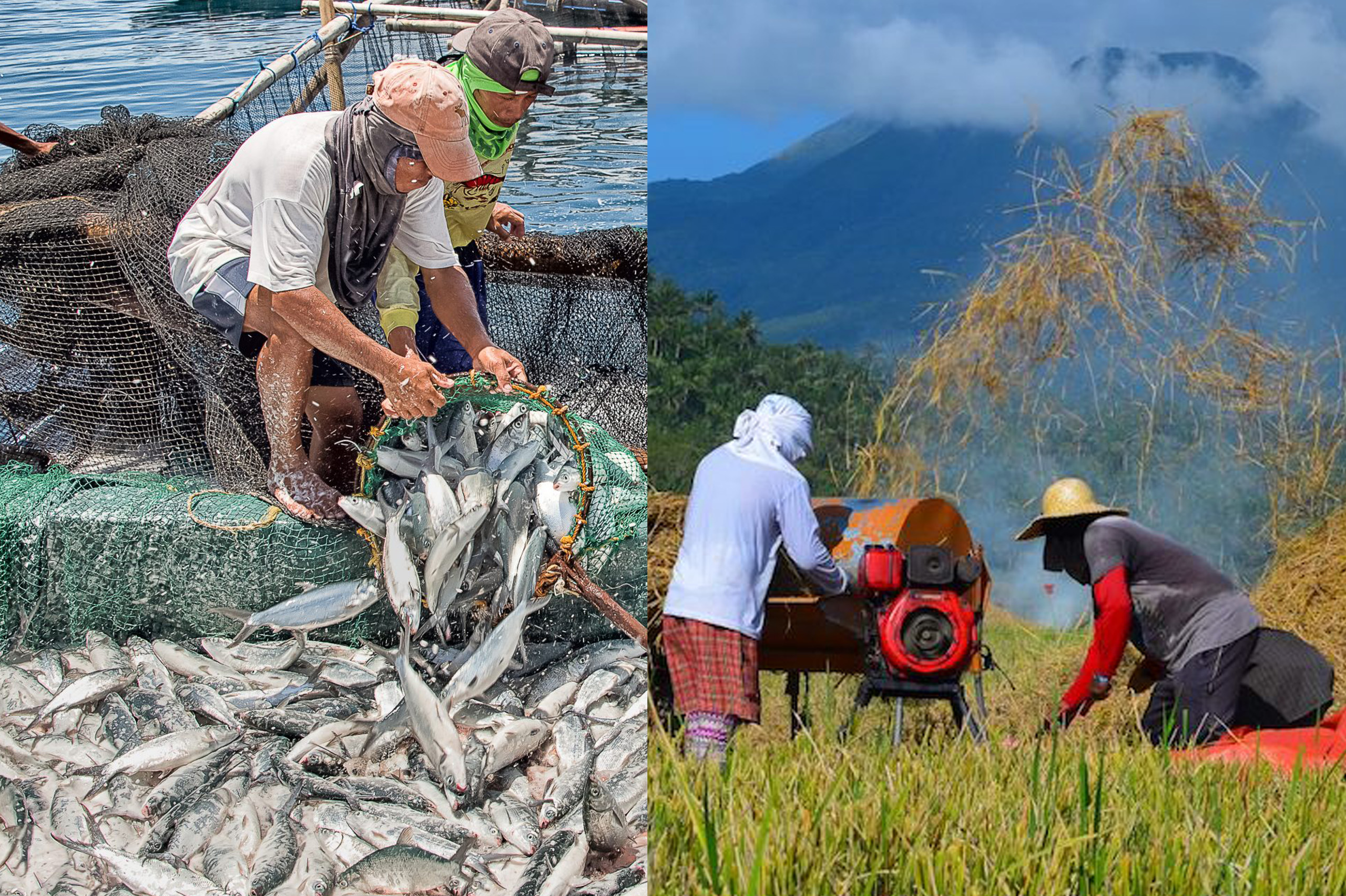 Farming Fishing And Food Value Chain Activities Continue Under
