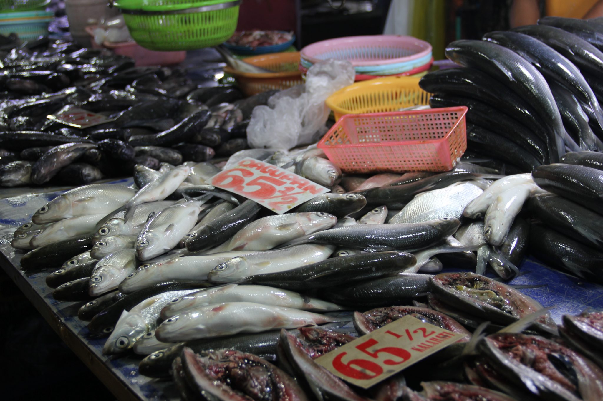 Fish Supply Prices Stable In NCR Plus 2048x1365 
