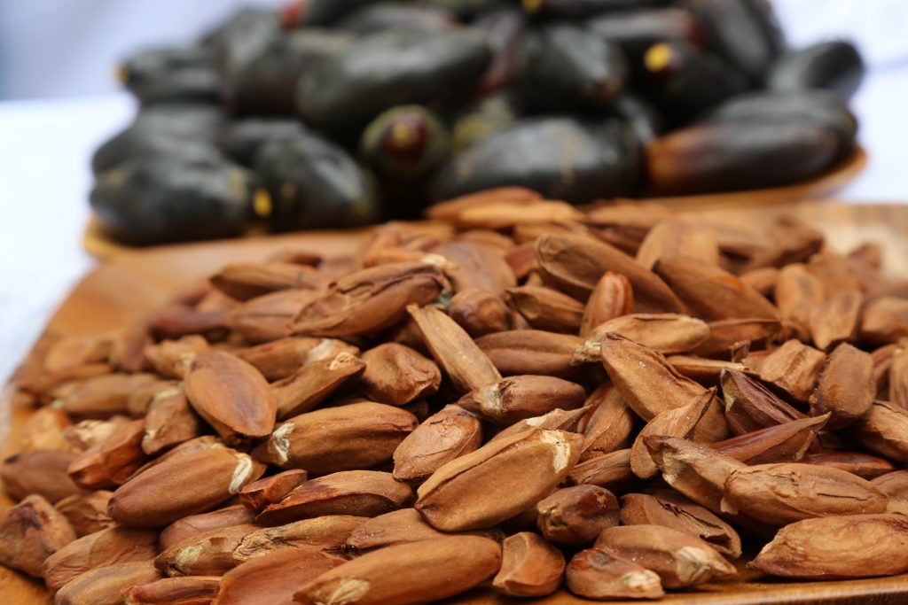 Philippines Regains Eu Market Access For Pili Nuts Export Official