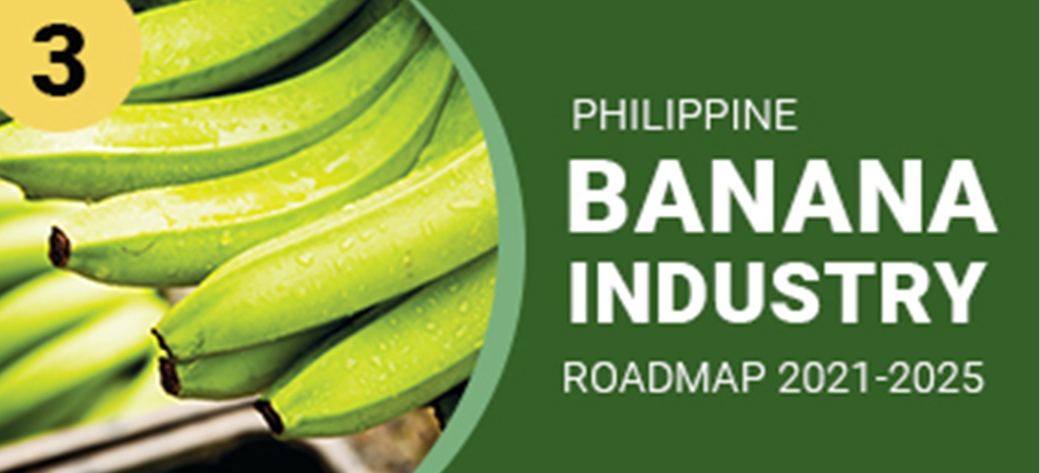 Philippine Banana Industry Roadmap Official Portal Of The Department   3 2048x932 