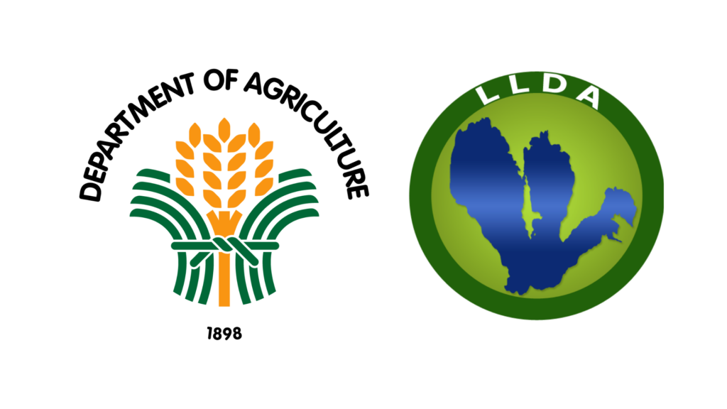 DA welcomes LLDA move to boost Laguna Lake’s fish output, ready to ...